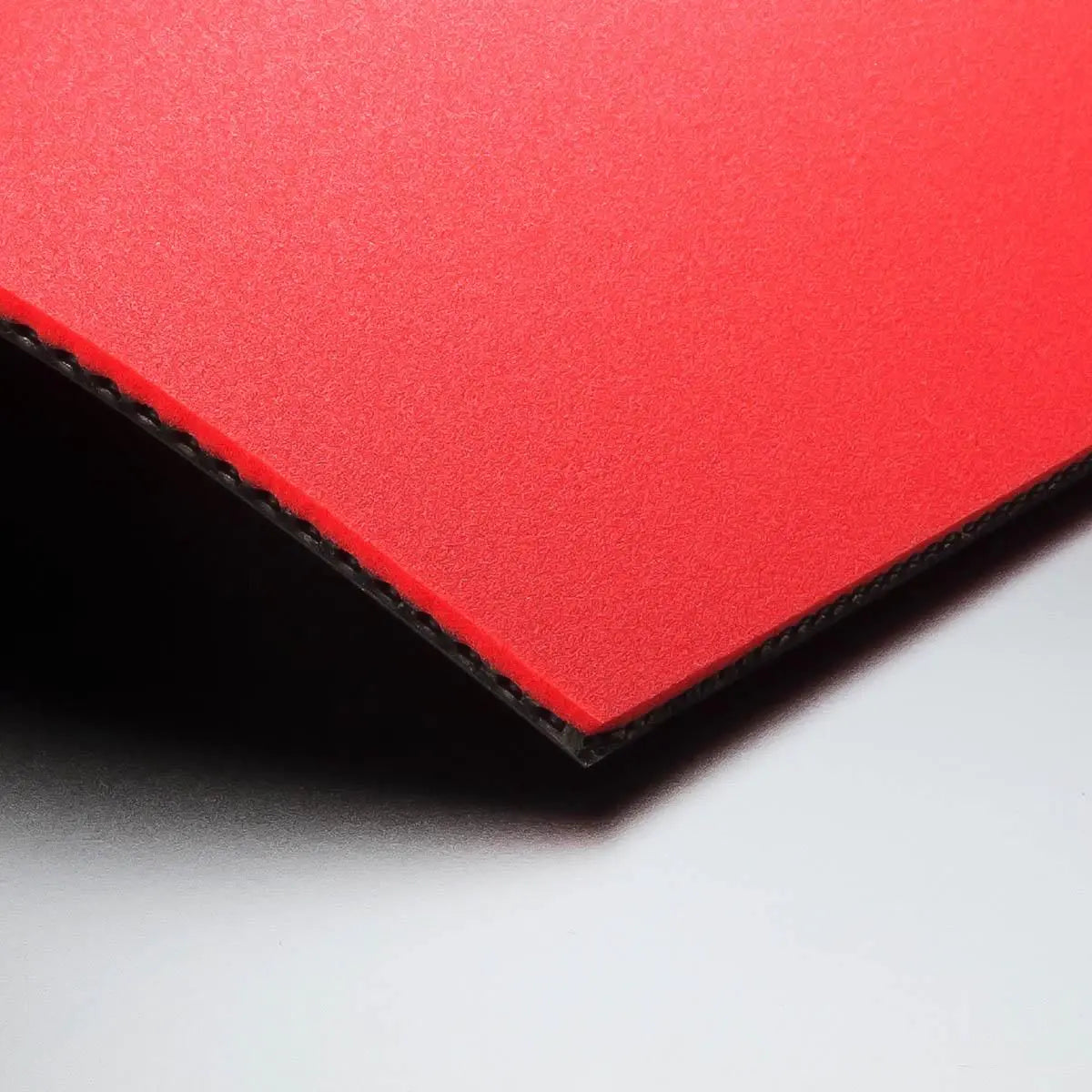 Butterfly Dignics 05 Table Tennis Rubber
